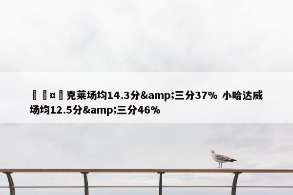 🤔克莱场均14.3分&三分37% 小哈达威场均12.5分&三分46%