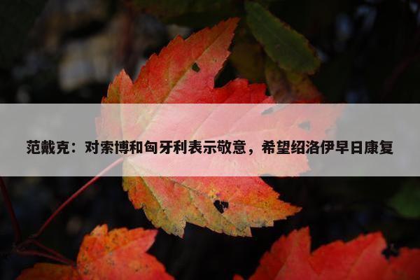 范戴克：对索博和匈牙利表示敬意，希望绍洛伊早日康复