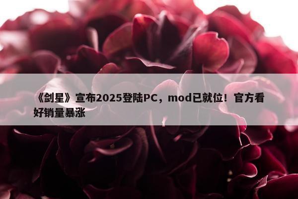 《剑星》宣布2025登陆PC，mod已就位！官方看好销量暴涨