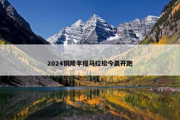 2024铜陵半程马拉松今晨开跑