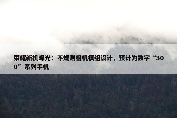 荣耀新机曝光：不规则相机模组设计，预计为数字“300”系列手机