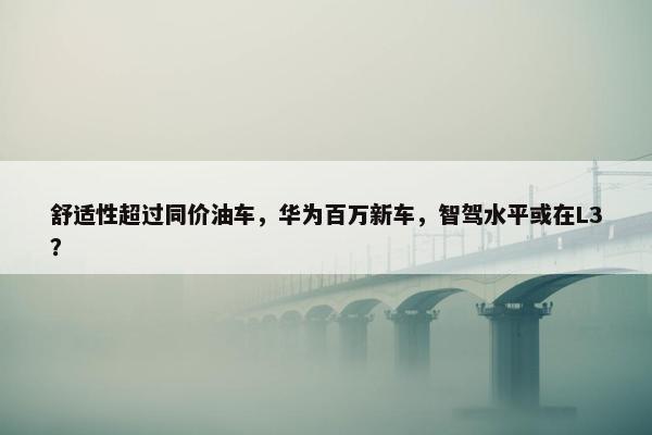 舒适性超过同价油车，华为百万新车，智驾水平或在L3？