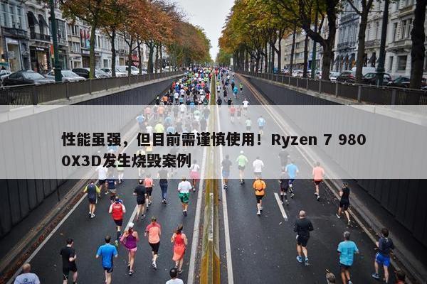 性能虽强，但目前需谨慎使用！Ryzen 7 9800X3D发生烧毁案例