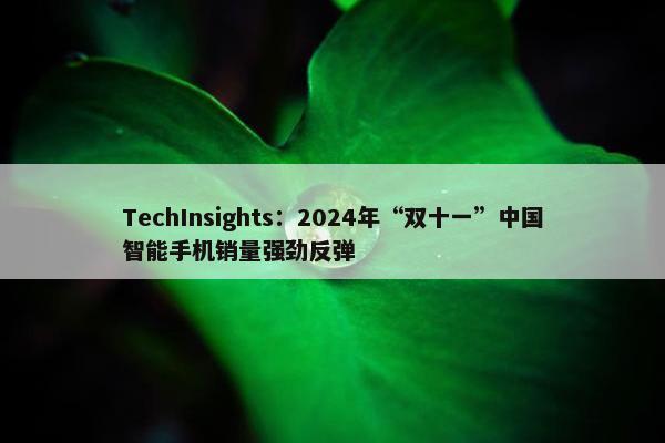 TechInsights：2024年“双十一”中国智能手机销量强劲反弹