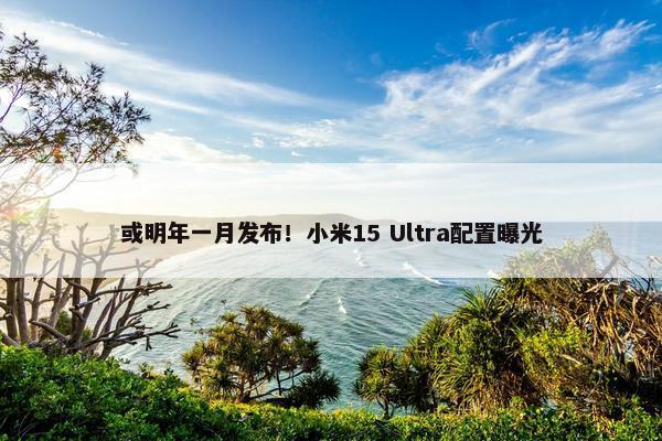 或明年一月发布！小米15 Ultra配置曝光