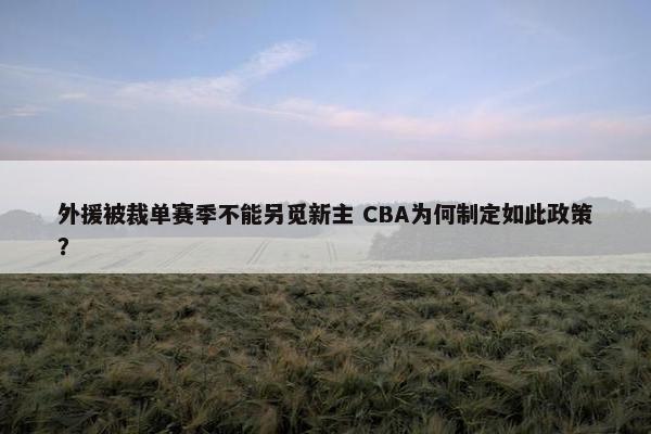 外援被裁单赛季不能另觅新主 CBA为何制定如此政策？