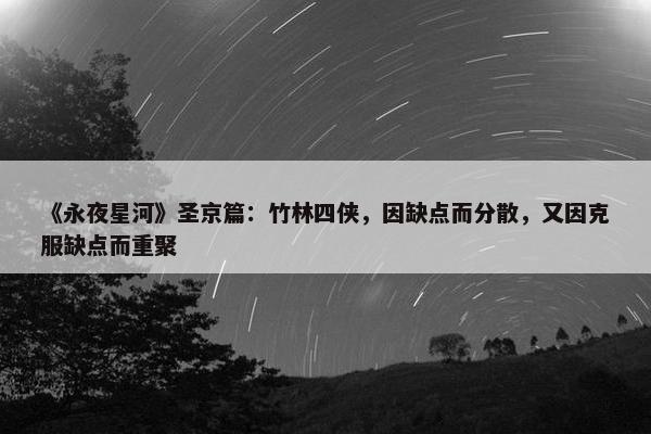 《永夜星河》圣京篇：竹林四侠，因缺点而分散，又因克服缺点而重聚