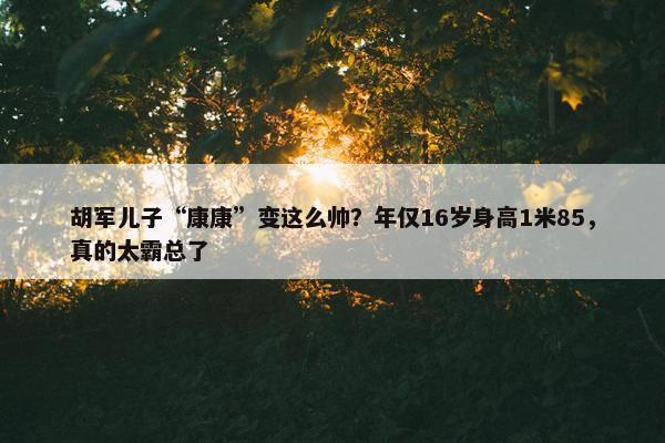 胡军儿子“康康”变这么帅？年仅16岁身高1米85，真的太霸总了