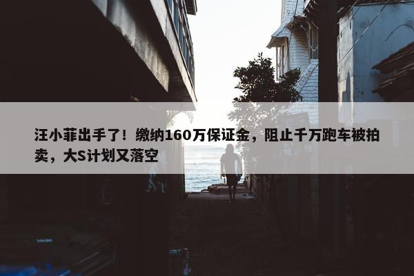 汪小菲出手了！缴纳160万保证金，阻止千万跑车被拍卖，大S计划又落空