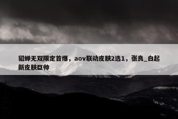 貂蝉无双限定首爆，aov联动皮肤2选1，张良_白起新皮肤巨帅