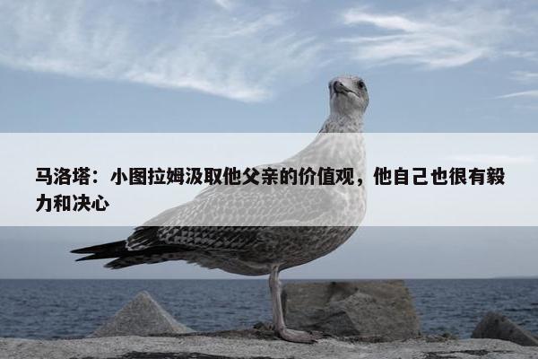 马洛塔：小图拉姆汲取他父亲的价值观，他自己也很有毅力和决心