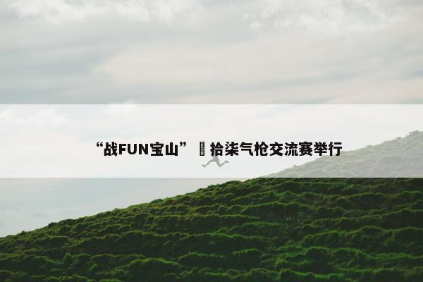 “战FUN宝山”極拾柒气枪交流赛举行