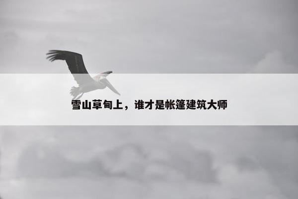 雪山草甸上，谁才是帐篷建筑大师