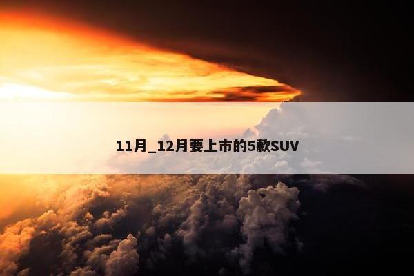 11月_12月要上市的5款SUV