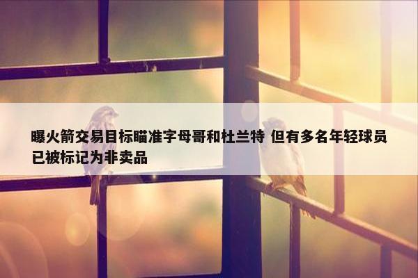 曝火箭交易目标瞄准字母哥和杜兰特 但有多名年轻球员已被标记为非卖品