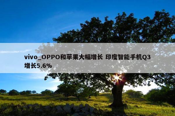 vivo_OPPO和苹果大幅增长 印度智能手机Q3增长5.6%