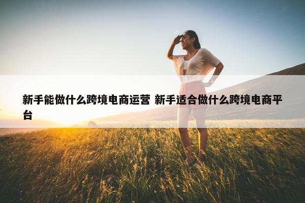 新手能做什么跨境电商运营 新手适合做什么跨境电商平台