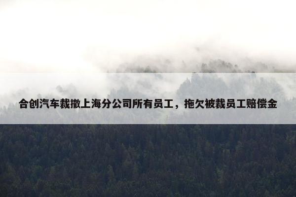 合创汽车裁撤上海分公司所有员工，拖欠被裁员工赔偿金