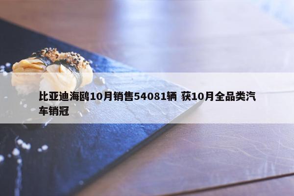 比亚迪海鸥10月销售54081辆 获10月全品类汽车销冠