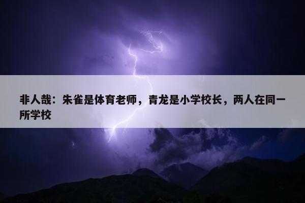 非人哉：朱雀是体育老师，青龙是小学校长，两人在同一所学校