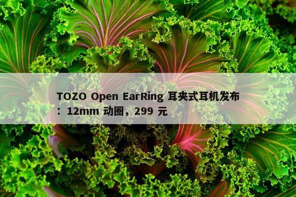 TOZO Open EarRing 耳夹式耳机发布：12mm 动圈，299 元