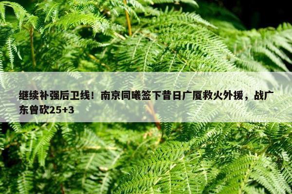 继续补强后卫线！南京同曦签下昔日广厦救火外援，战广东曾砍25+3