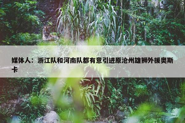 媒体人：浙江队和河南队都有意引进原沧州雄狮外援奥斯卡