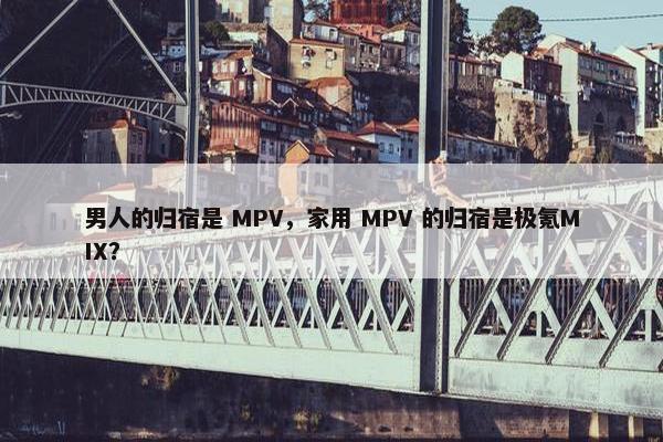 男人的归宿是 MPV，家用 MPV 的归宿是极氪MIX？