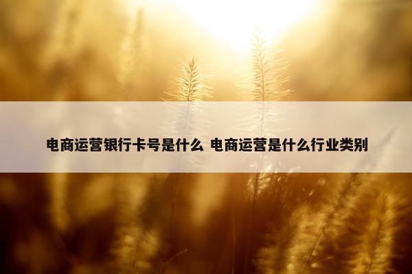 电商运营银行卡号是什么 电商运营是什么行业类别