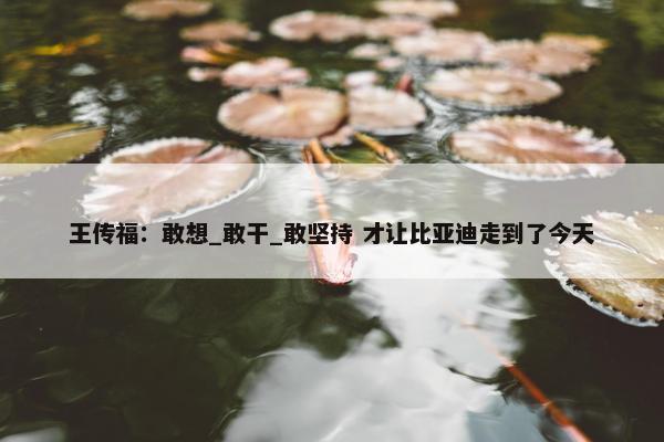 王传福：敢想_敢干_敢坚持 才让比亚迪走到了今天