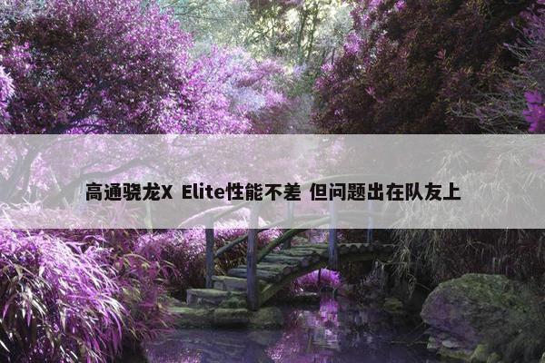 高通骁龙X Elite性能不差 但问题出在队友上