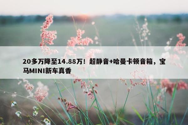 20多万降至14.88万！超静音+哈曼卡顿音箱，宝马MINI新车真香