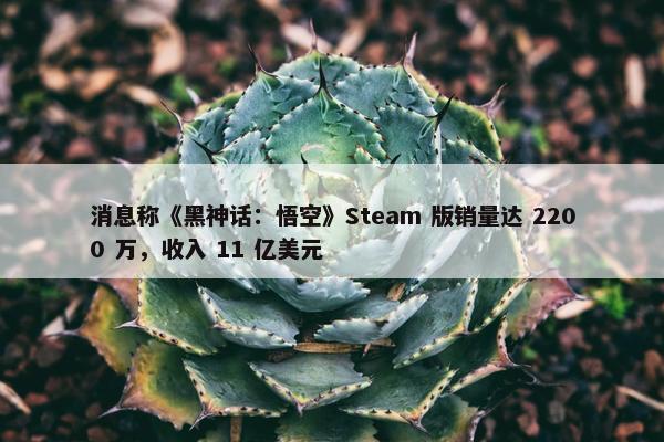 消息称《黑神话：悟空》Steam 版销量达 2200 万，收入 11 亿美元