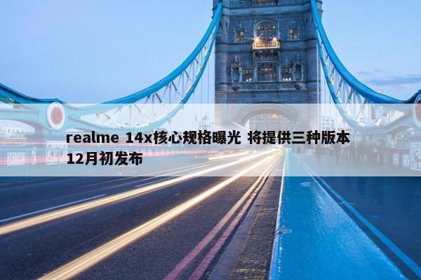 realme 14x核心规格曝光 将提供三种版本 12月初发布