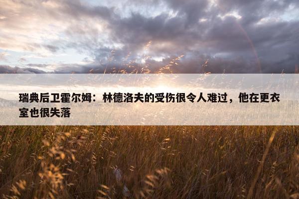 瑞典后卫霍尔姆：林德洛夫的受伤很令人难过，他在更衣室也很失落