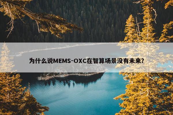 为什么说MEMS-OXC在智算场景没有未来？