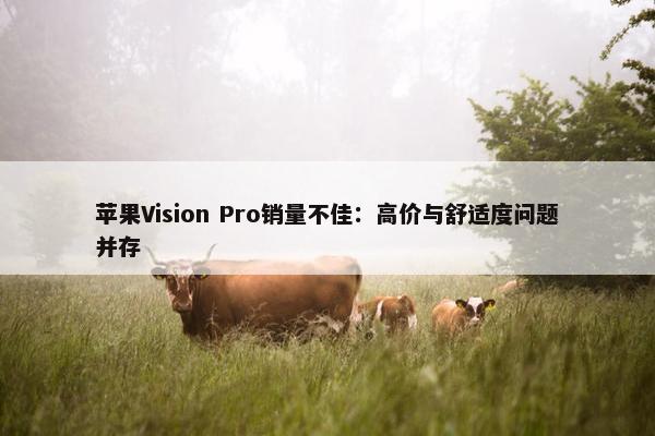 苹果Vision Pro销量不佳：高价与舒适度问题并存