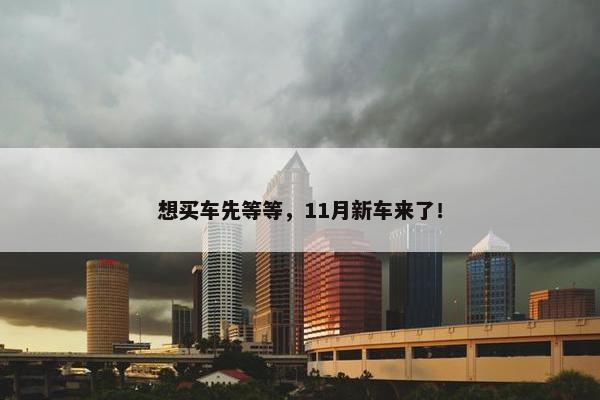 想买车先等等，11月新车来了！