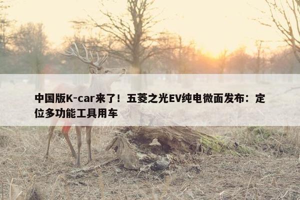 中国版K-car来了！五菱之光EV纯电微面发布：定位多功能工具用车