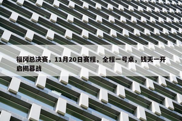 福冈总决赛，11月20日赛程，全程一号桌，钱天一开启揭幕战