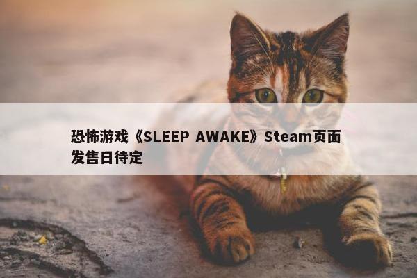 恐怖游戏《SLEEP AWAKE》Steam页面 发售日待定