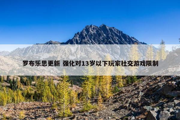 罗布乐思更新 强化对13岁以下玩家社交游戏限制