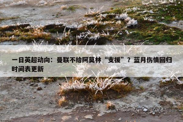 一日英超动向：曼联不给阿莫林“支援”？蓝月伤情回归时间表更新