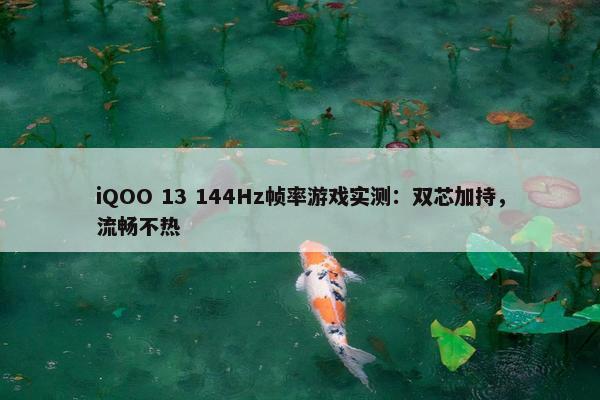 iQOO 13 144Hz帧率游戏实测：双芯加持，流畅不热