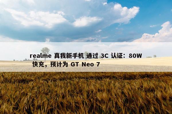 realme 真我新手机 通过 3C 认证：80W 快充，预计为 GT Neo 7