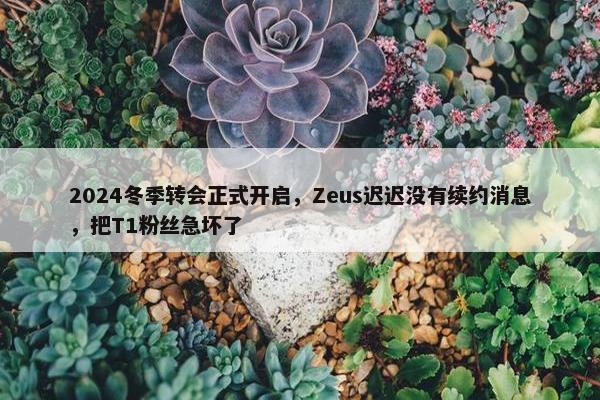 2024冬季转会正式开启，Zeus迟迟没有续约消息，把T1粉丝急坏了