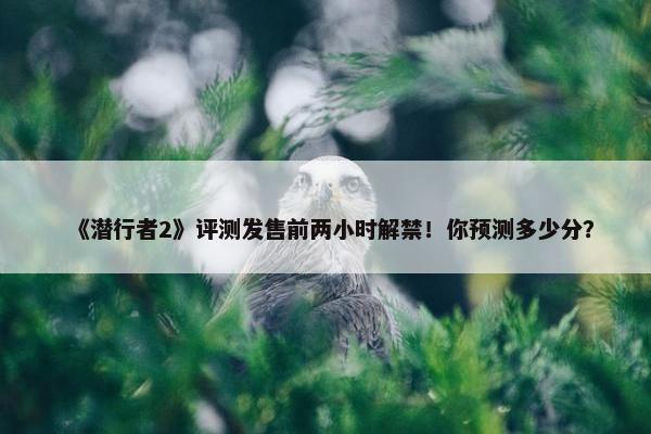 《潜行者2》评测发售前两小时解禁！你预测多少分？