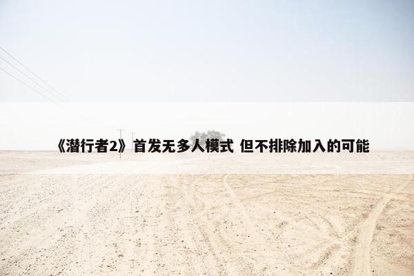 《潜行者2》首发无多人模式 但不排除加入的可能