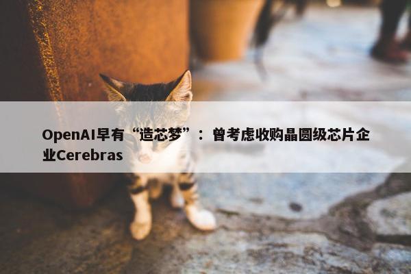 OpenAI早有“造芯梦”：曾考虑收购晶圆级芯片企业Cerebras