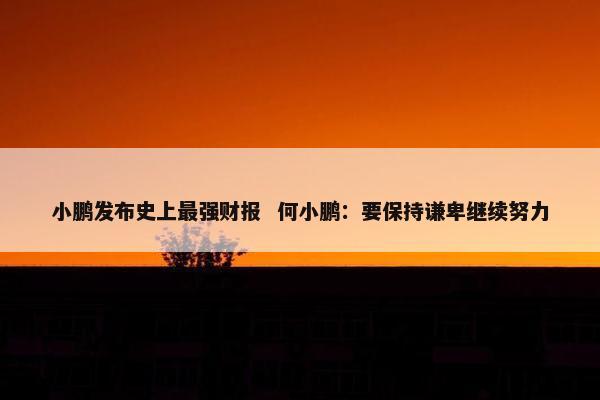 小鹏发布史上最强财报  何小鹏：要保持谦卑继续努力